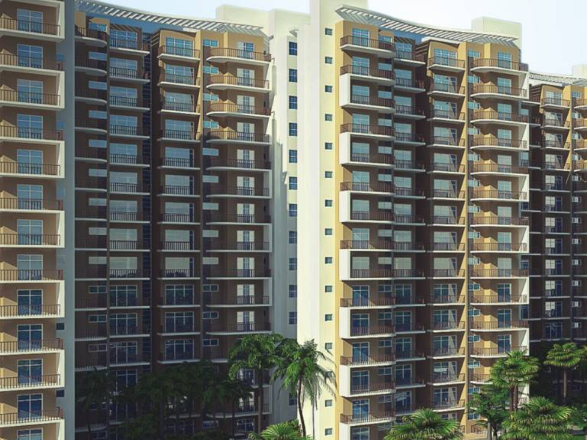 Avalon Rosewood image 2